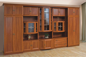 Сенатор Новый 4.0